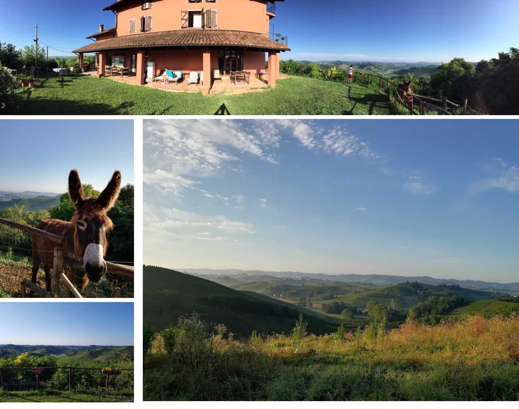 The countryside villa where the workshop took place, with views over the vineyard hills and a resident donkey